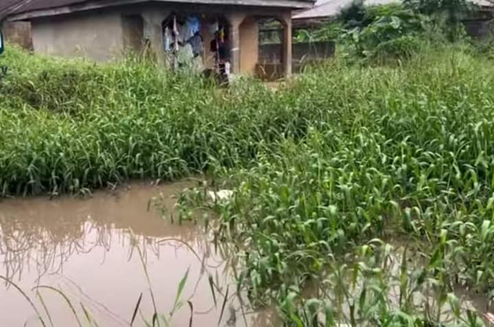 36kinniun media👑 🦁 🕊 tweet media