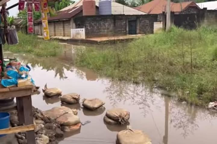 36kinniun media👑 🦁 🕊 tweet media