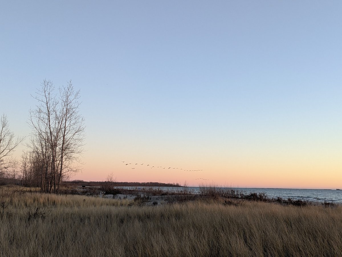 Vivek Dawar tweet media