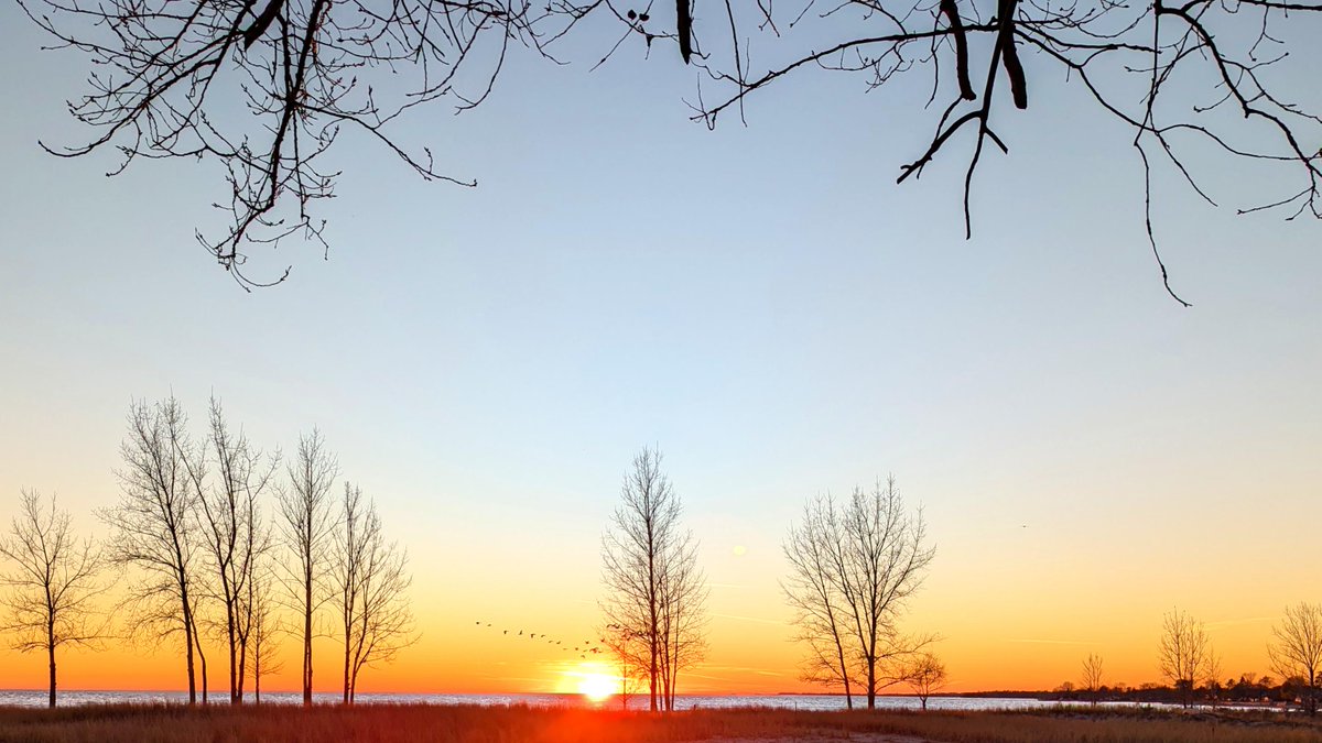 Vivek Dawar tweet media