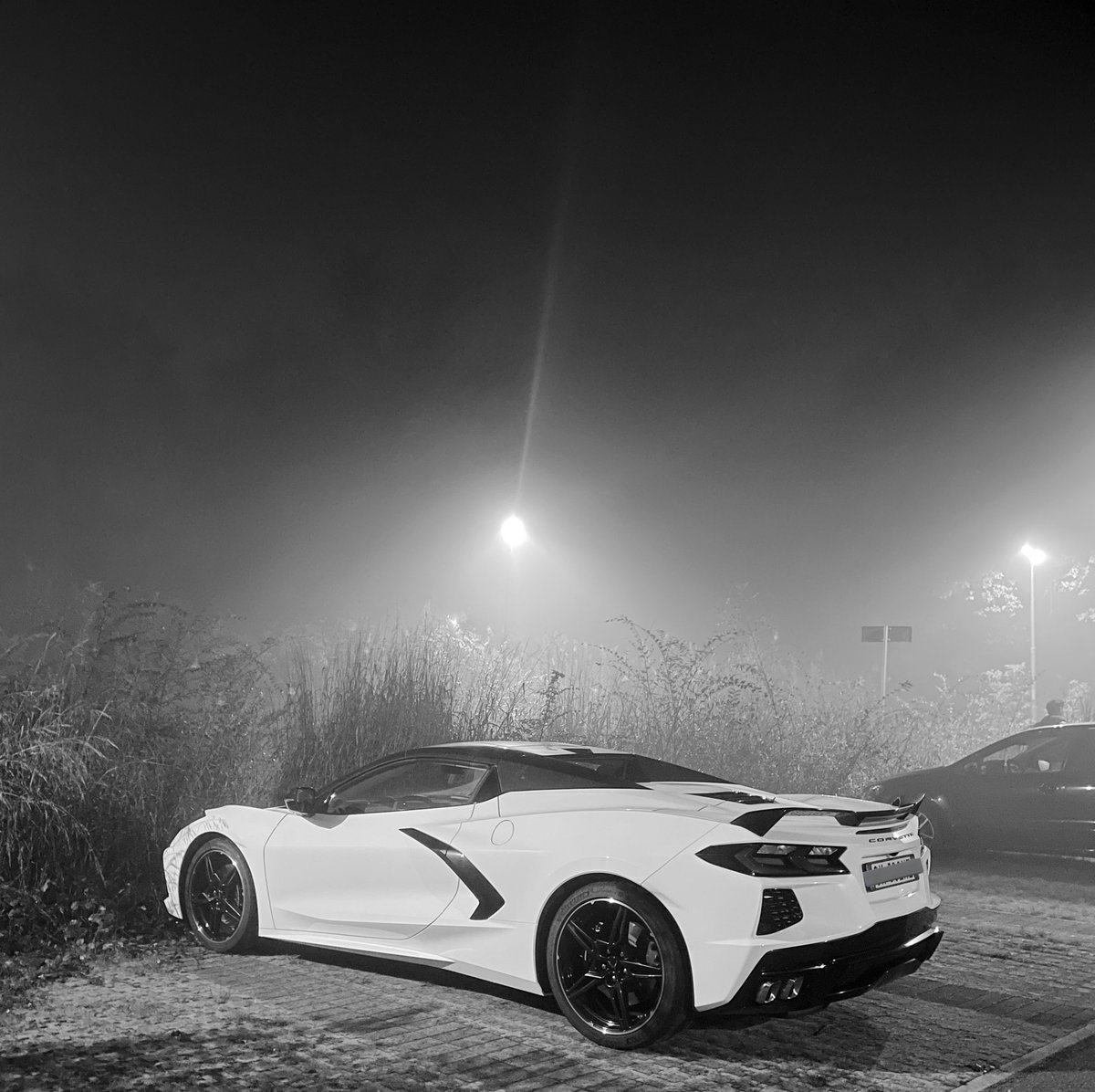 big beast