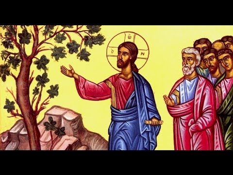 Martin Los tweet media