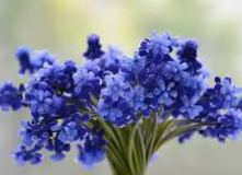 BENaanhettesten's tweet image. Excited to try out Toodoo, a new productivity app that helps me stay organized and on top of my tasks. Can't wait to see how it boosts my productivity! 📱💼 #productivity #organization #todoapp