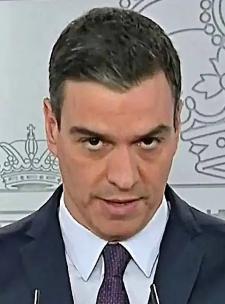Muy.Mona/🇪🇸💚 tweet media