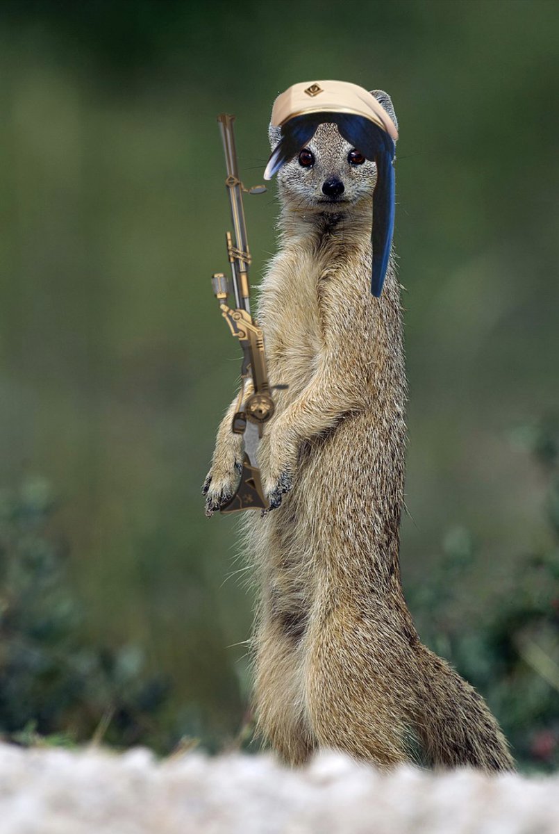 dinomerry's tweet image. A Mongoose!? 
New arcane fursona just dropped 
#Arcane #Caitvi