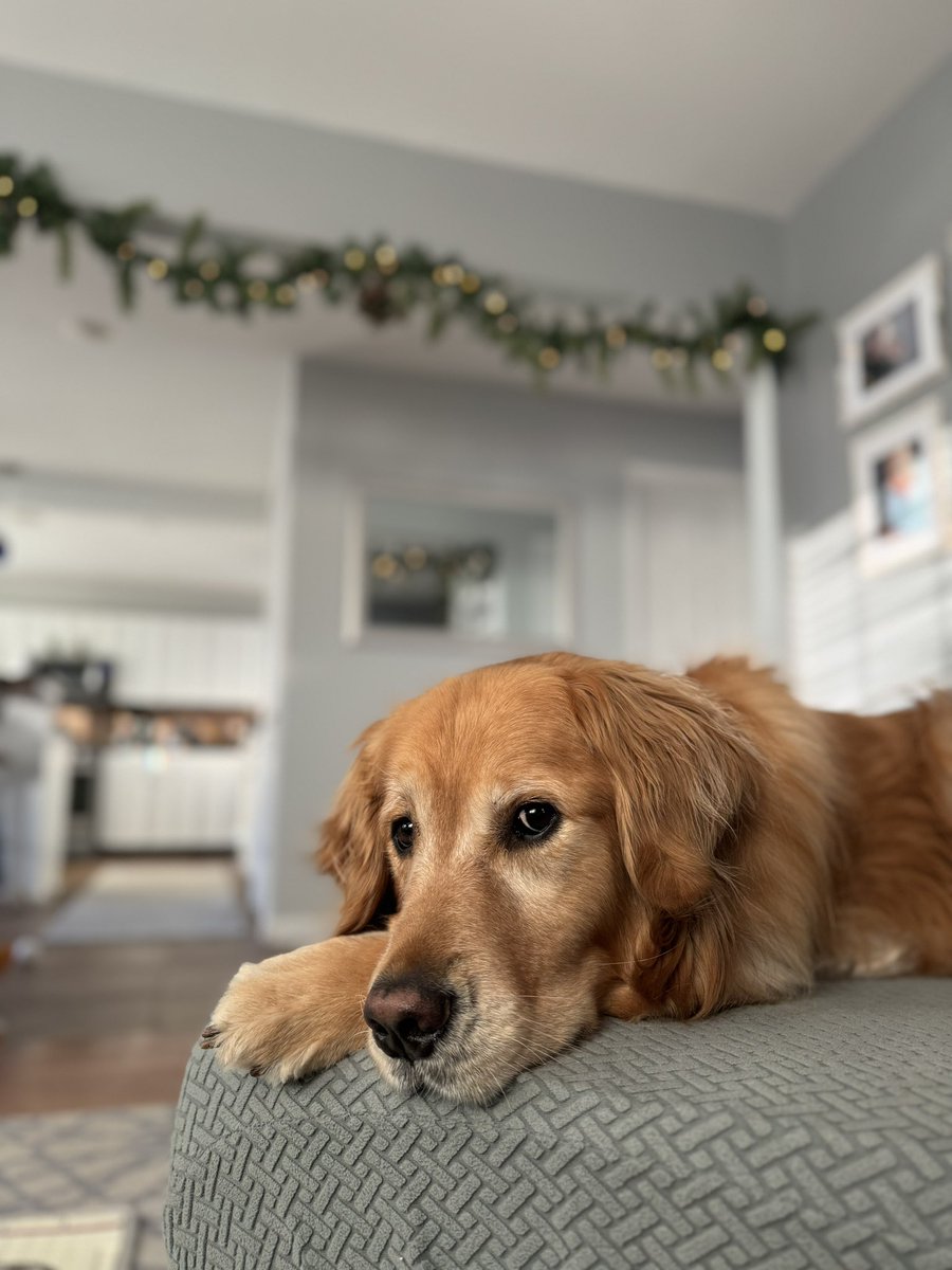 I swear I wasn’t sleeping.. I was just resting my eyes 😴😅