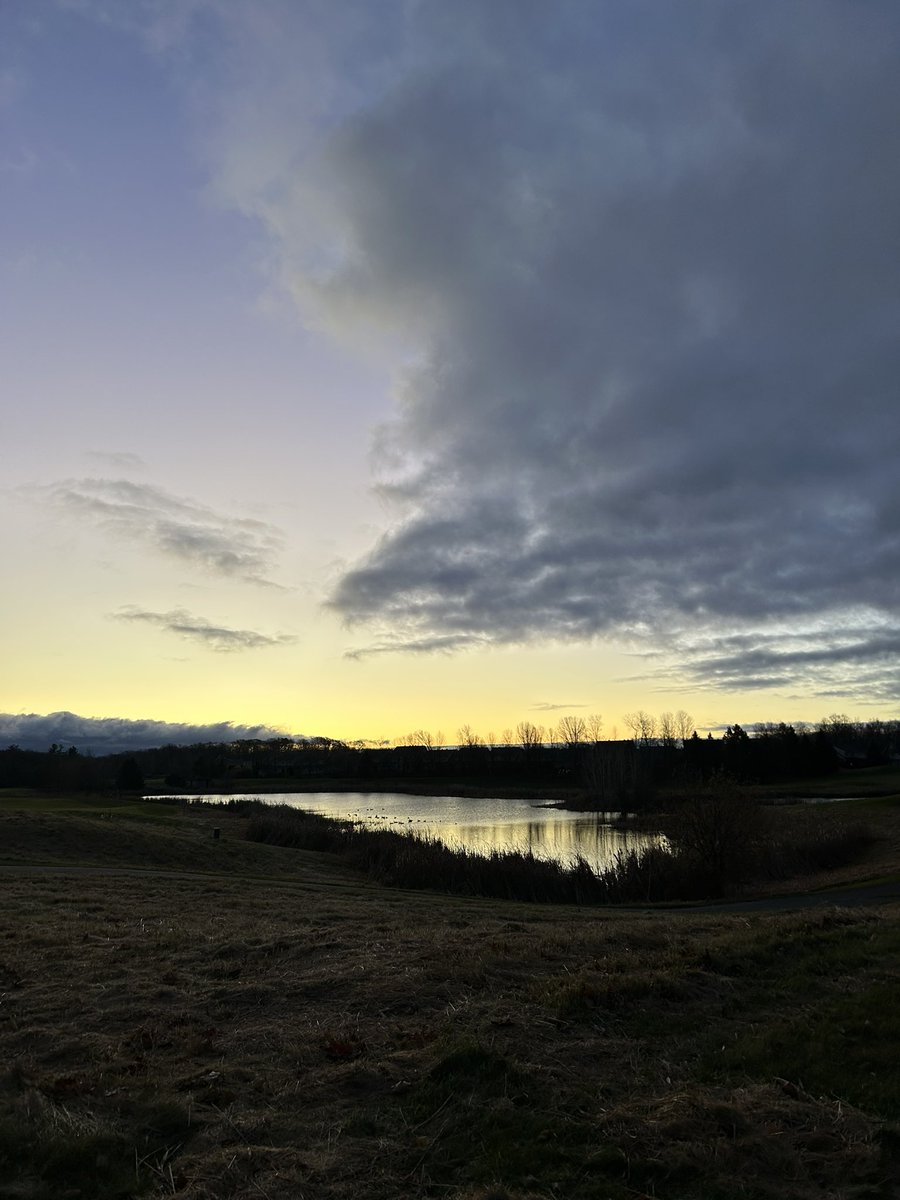 Jody Prevost (she/her) tweet media