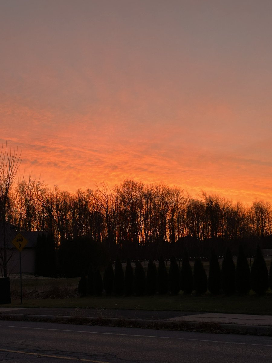 Jody Prevost (she/her) tweet media