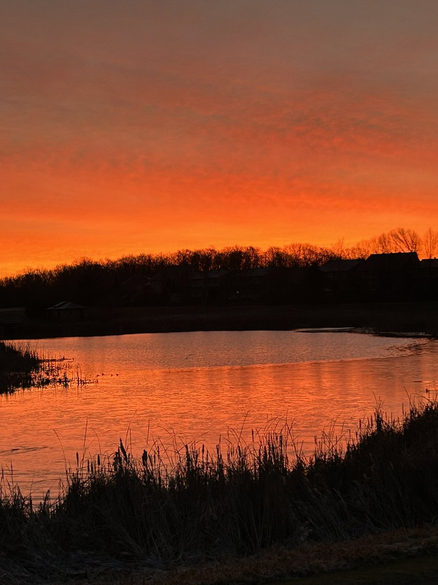 Jody Prevost (she/her) tweet media