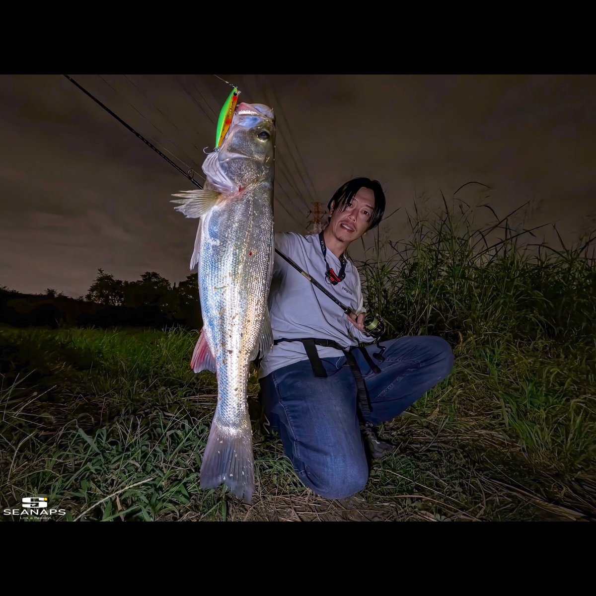 sei_uchida_fish's tweet photo. やたら暖かい日。というよりちょっと暑いレベル。イナッコの量は極僅か。バンクをレンジ下げながら巻いて探っていてワンバイトを捉えました。PoisonUただいま調整中です🖐️
#PR #popseacrew #PSC #BANQ82S #APIABlueBlueFishing #ZALTS #LINESYSTEM #XENOS #シーバス #ルアーフィッシング https://t.co/YYfhTjYYK3