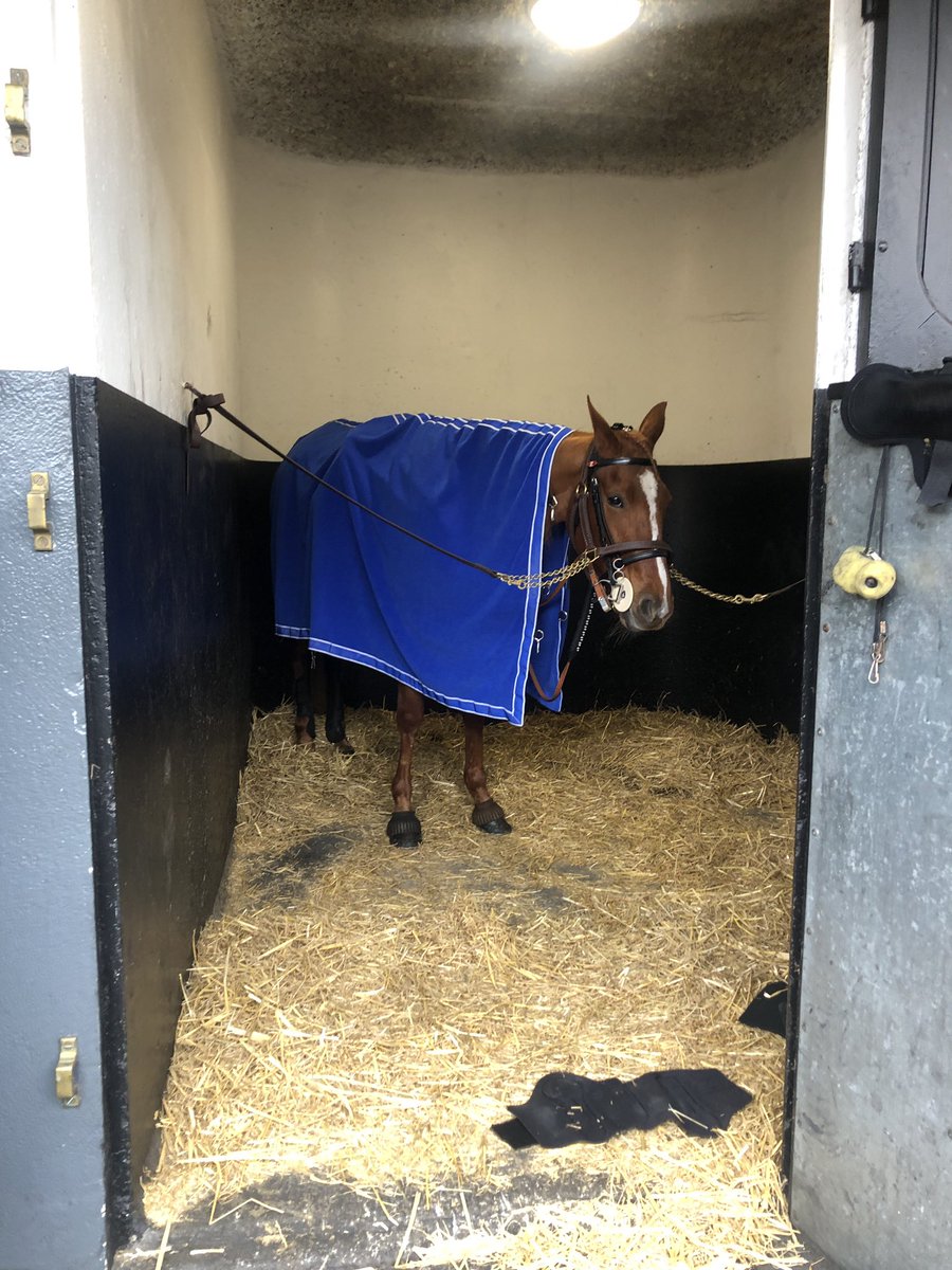 Formidable #dimancheplaisir à Vincennes 🤩
#AmeriqueRaces