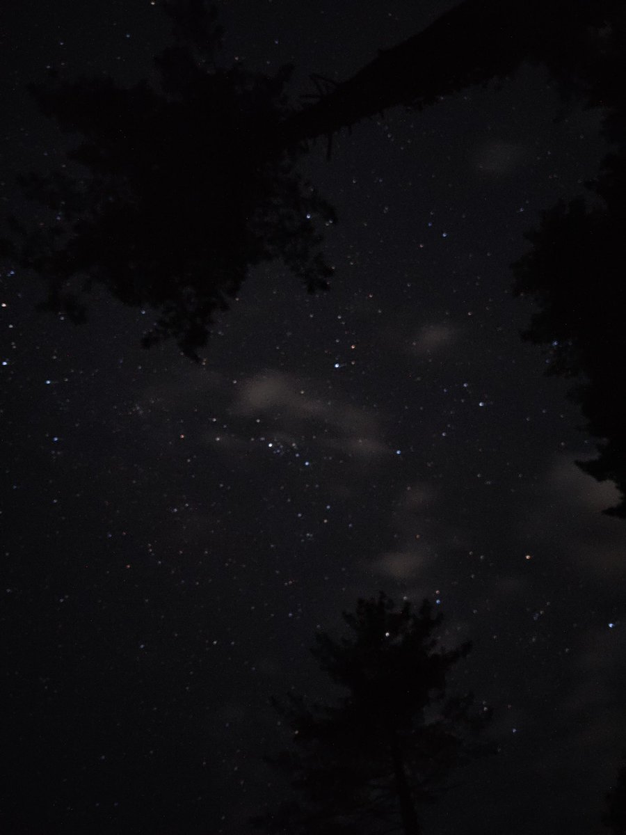thekanonboy's tweet photo. night sky🌌✨🌠 in📍Malana, Himachal Pradesh
.
.
#IncredibleIndia #Malana #HimachalPradesh #travelphotography #travel #mountains #night #nightlights #Trendingpicture #photography #GamingLife https://t.co/lBK6q55yKy