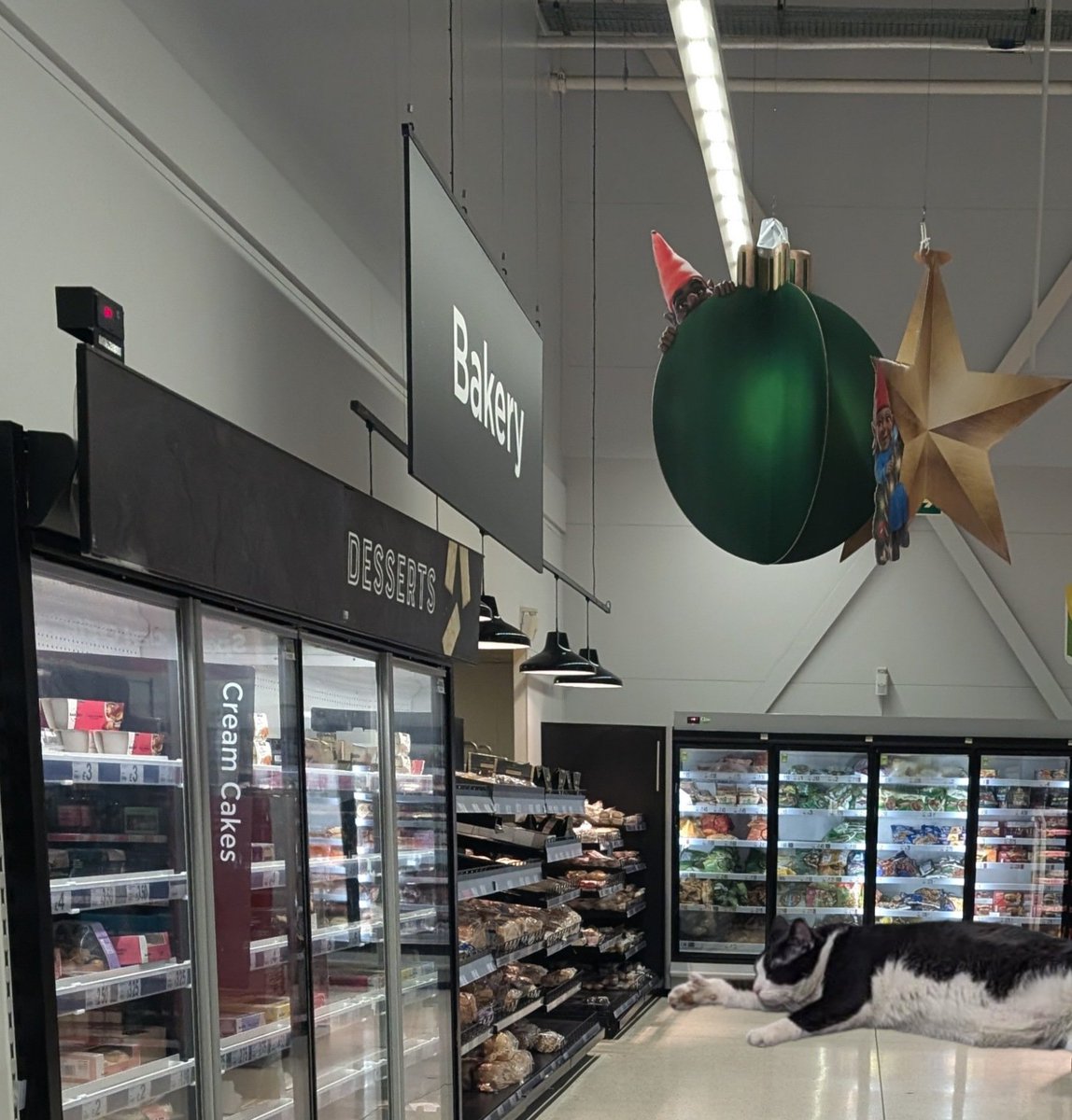 *NEW:

spotted by nile_rodgers'_plectrum;

asda supermarket, between bread &amp; freezer section, 55.989181,-2.510353;

1723hrs 17/11/24