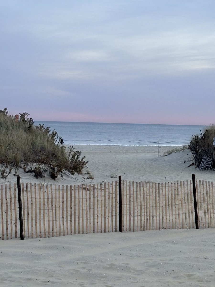 Late fall and still beautiful.