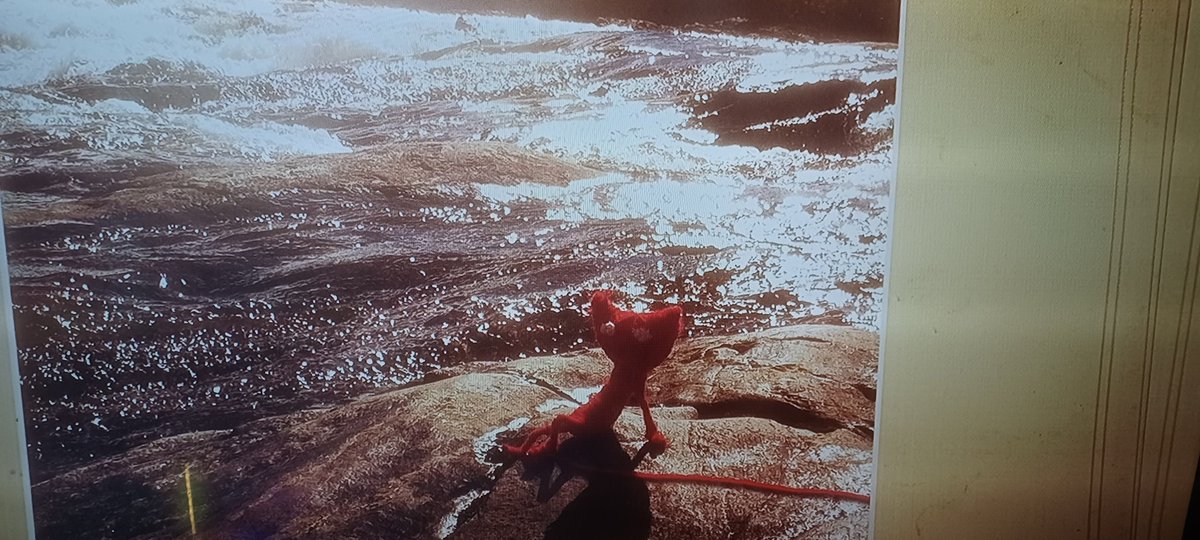 4realfan tweet media