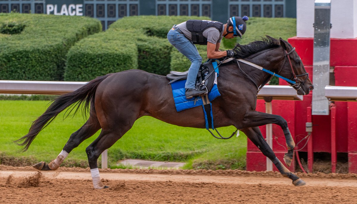 Robert Yates tweet media