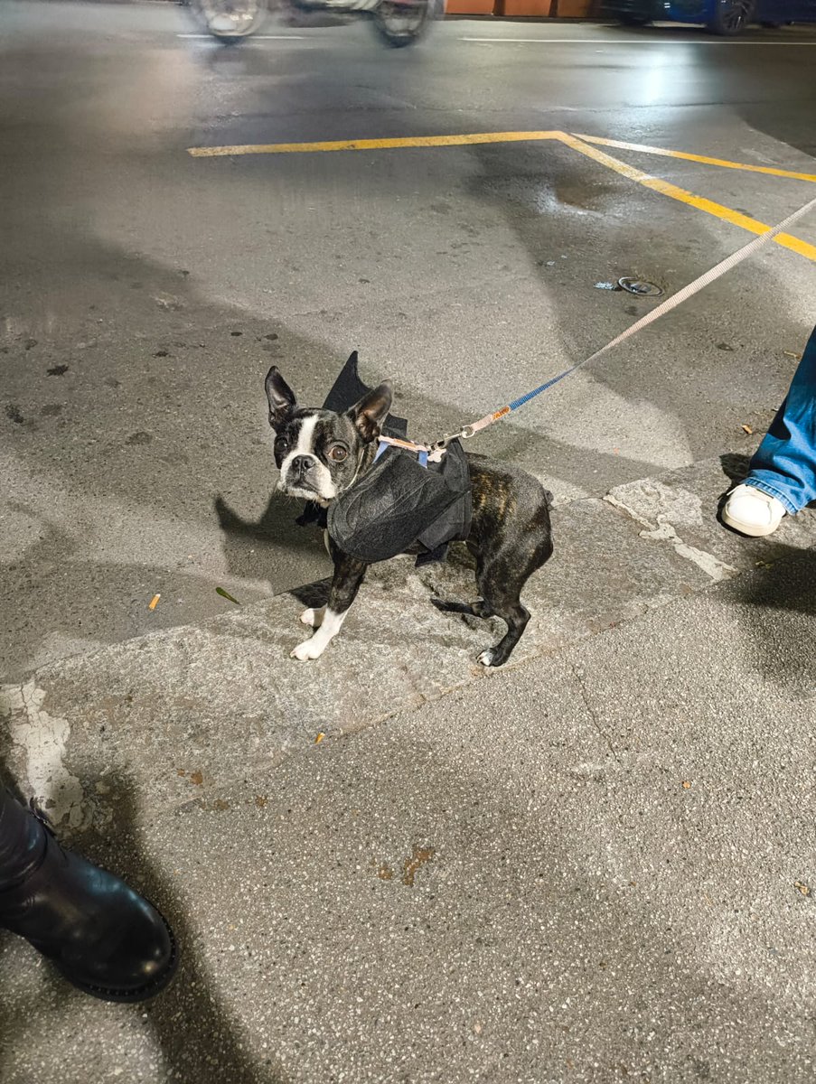 فقط مدل نگاه کردنش...