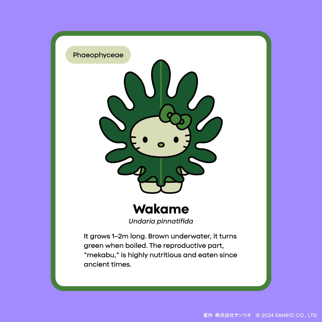 In today's #MonthlyJPPavilion special feature, we're introducing