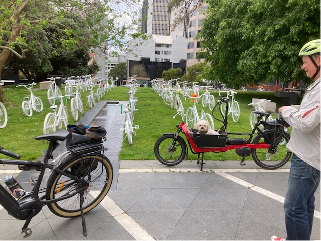 The Ghost Bike Art Installation in Auckland’s city centre draws attention to the deaths and serious injuries that will be the result of reversing the safer speeds laws (increasing roads to 50km/h in many areas where reduced to 30km/h for safety reasons) 😭 #saferspeeds