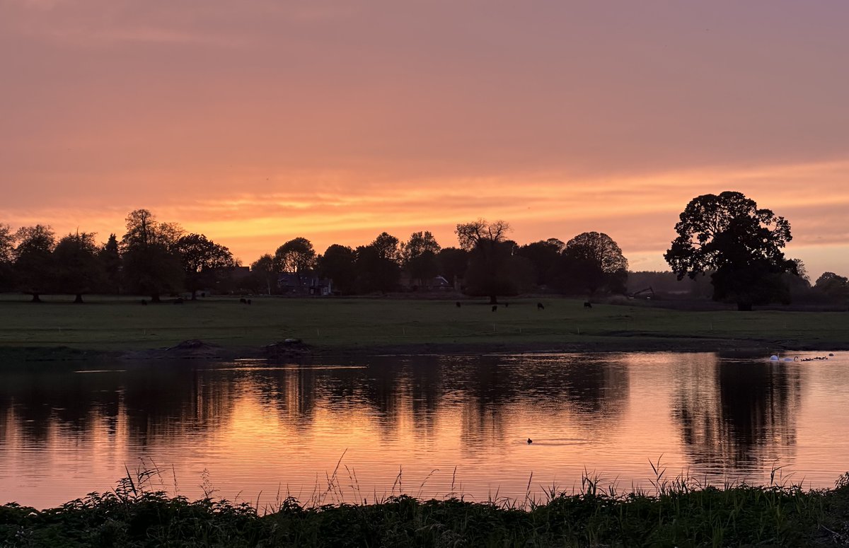 David Stubbs tweet media