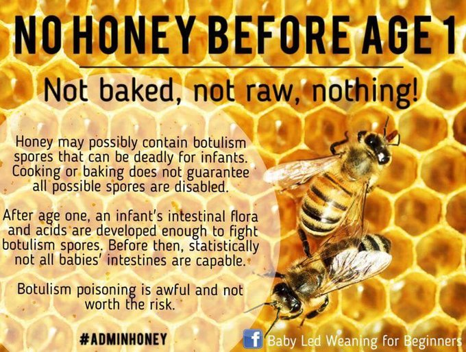 MY DAILY BEE FACTOID
HONEY is a raw food &amp; is NOT recommended for infants less than 12 months old. It may contain Clostridium Botulinum spores. A fully developed digestive system protects against CB spores. Pasteurization does NOT  destroy CB in honey!

Follow. #SaveTheBees