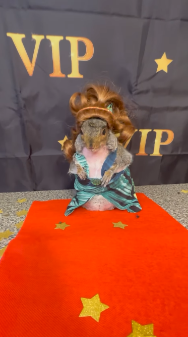 Peanut's BFF THUMB tweet media