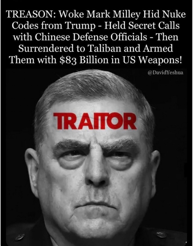 RickyDoggin's tweet image. I've never seen a better case made for treason.