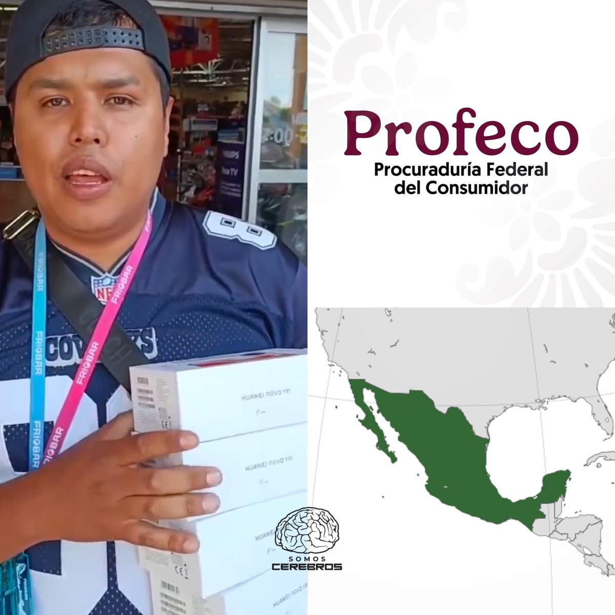 Cerebros tweet media