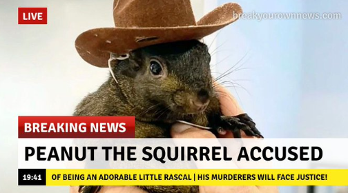 JPNUTsol's tweet photo. Yaaaa ain't he the most adorable squirrel

#JusticeForPeanut https://t.co/OiiLB7WVcX
