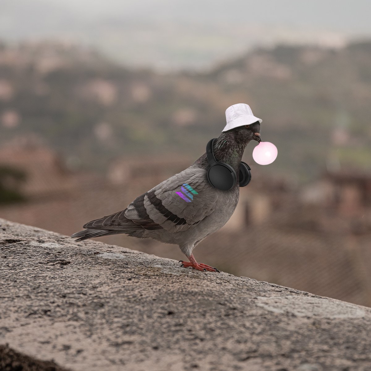 RealHato's tweet photo. Yo, pigeons and playas!
Back from the trenches, grinding my beak and stacking my bread. Enough of these puppy and kitty coins ruling the game. Time for the space to recognize the alpha
If Moodeng can do it, why not me? Watch-out for ya KOLs out there. See ya around #HatoThePigeon https://t.co/ljlTWHpuzY