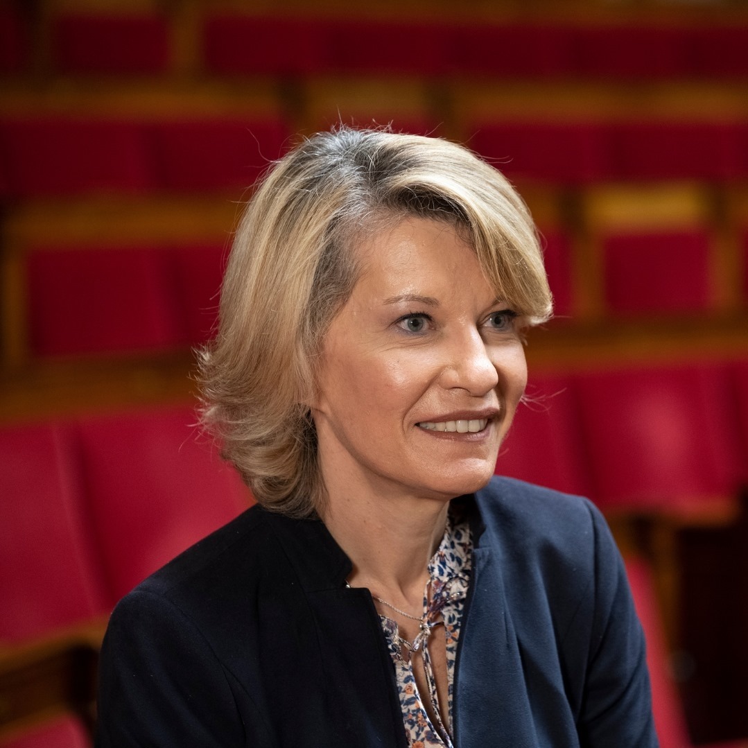 Un petit rappel car on finirait presque par l'oublier : ces gens qui nous emm.. gouvernent ont perdu les élections ! En juin comme en juillet ! Et là, ils agissent comme s'ils avaient fait le plein des voix et pouvaient tout se permettre, remplaçant la légitimité par l'arrogance.