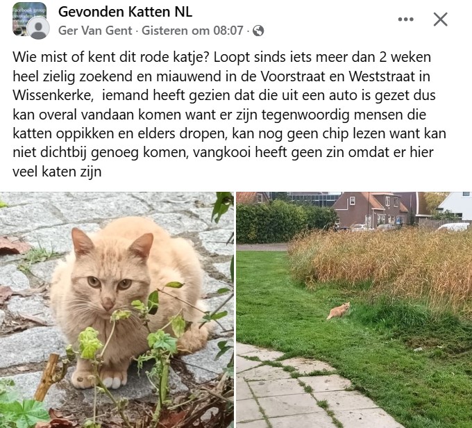 Persoon uit auto gezet in Wissenkerke