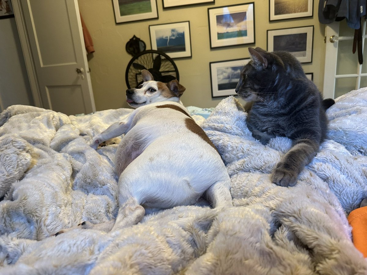 Patrick Skinner tweet media