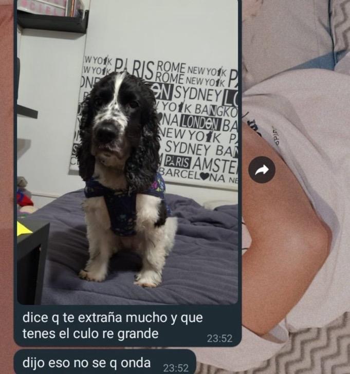 gente chamuyando (@gentechamuyando) on Twitter photo 