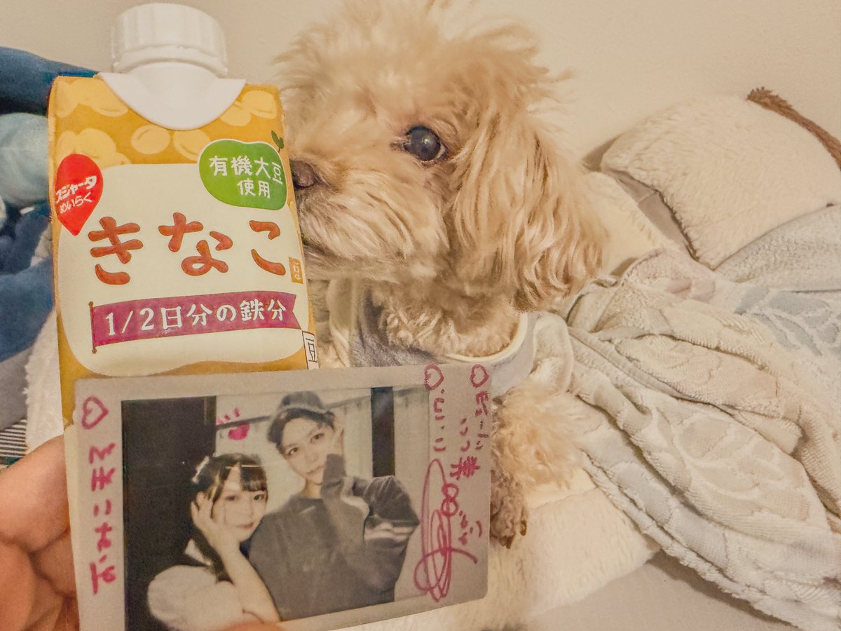 omikomaru's tweet image. 東京ぶりに会えたー！

ヨドバシでのライブも楽しいけど、ライブハウス現場やともっと楽しい

#ナコチャーーン #なこ #カラスク #カラフルスクリーム