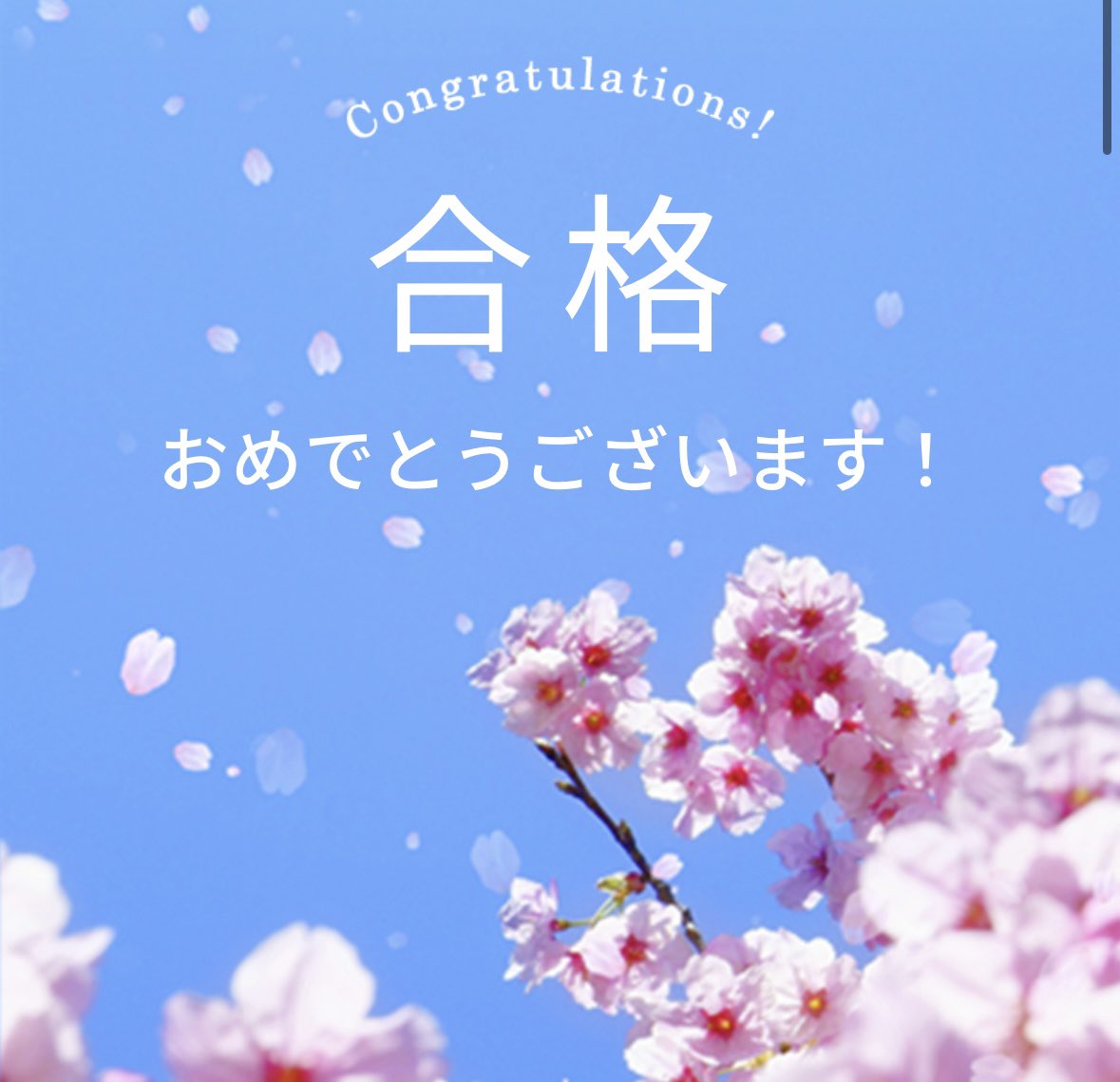 레이니 tweet media