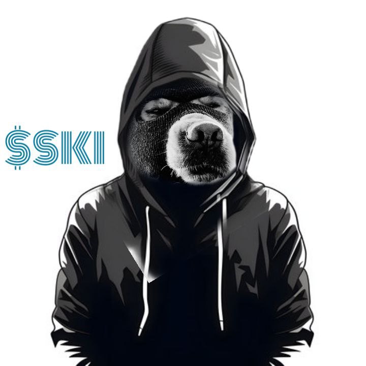 swaroopesd's tweet image. Best meme of this cycle currently sitting at 47 Mill $ MC. Billions soon........ $SKI #MaskOn