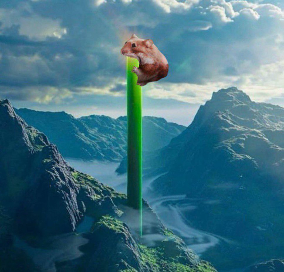 if there's one thing about the top 3 coins on my list, it's that their community is nuts and the memes are actually fucking good. like look at this shit bro. LOL