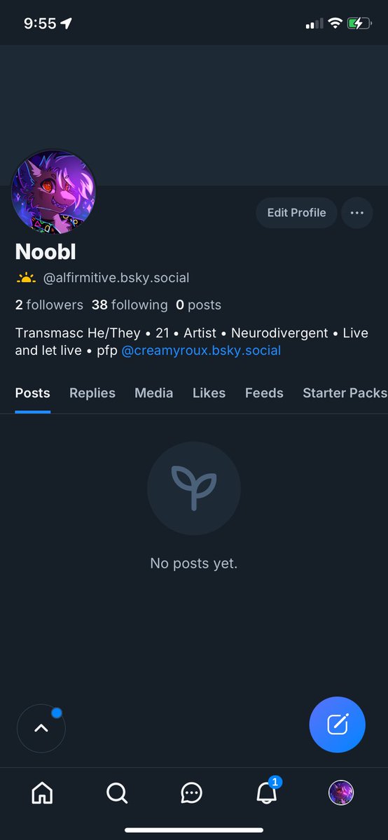 Noodle tweet media