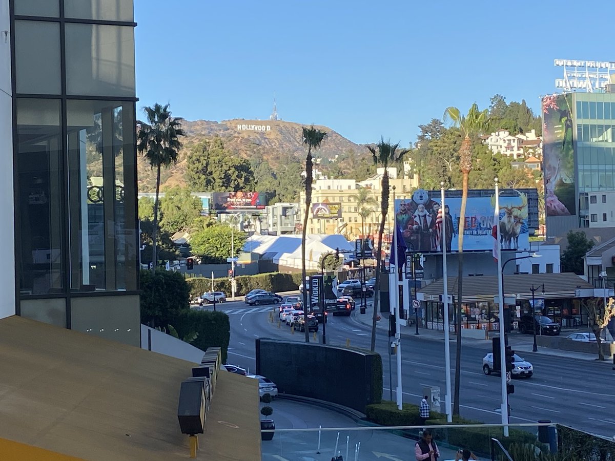 Debbie O'Brien tweet media