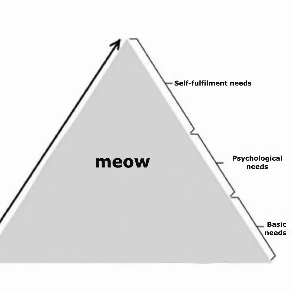 gmeow chat