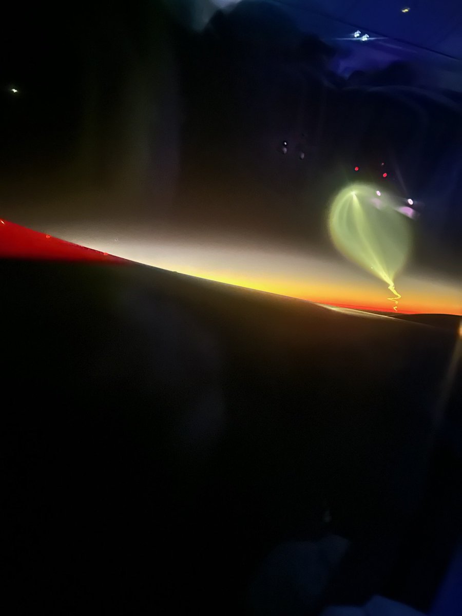 starstar🦋 tweet media