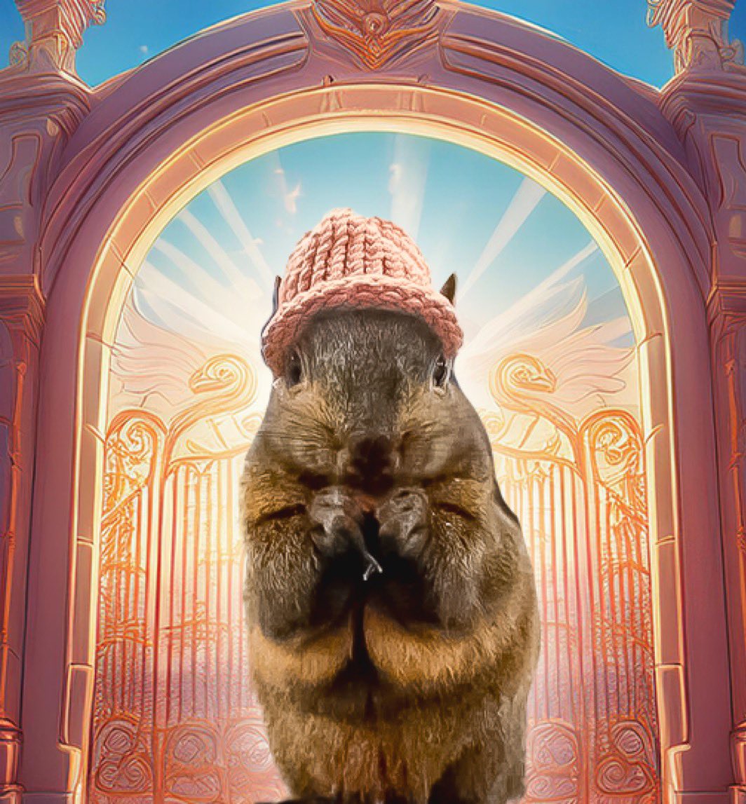 theDavid tweet media