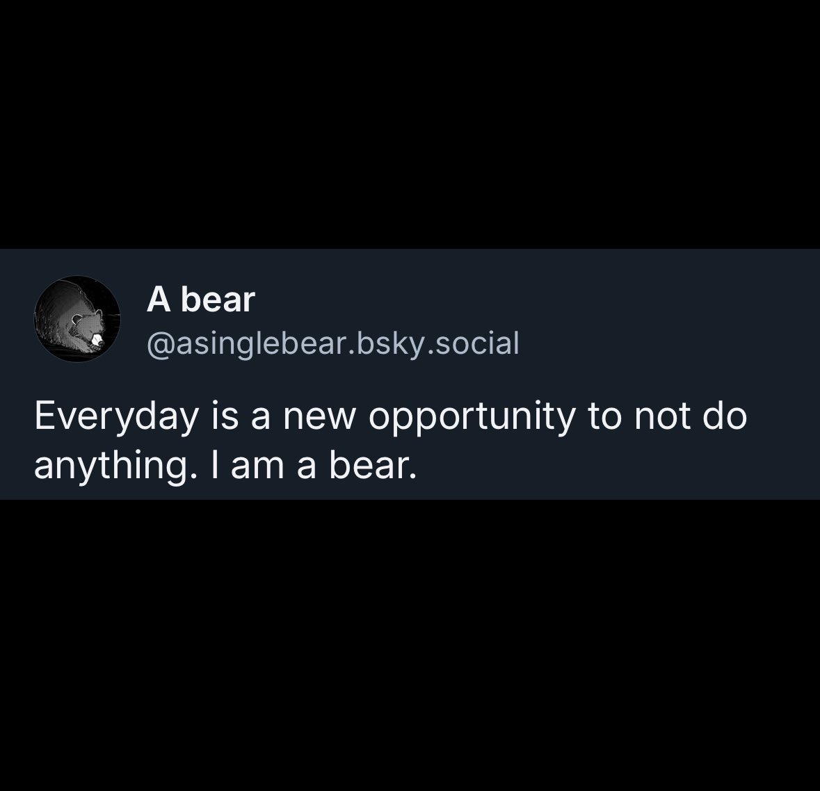 A bear (@a_single_bear) on Twitter photo 