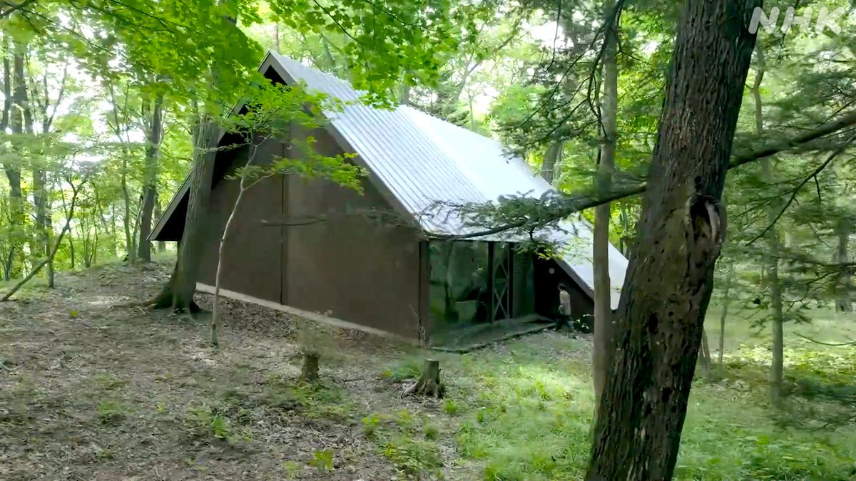 nhk_ah_neo's tweet image. 訪ねたのは「Tanikawa House」。詩人・谷川俊太郎の依頼で建築家・篠原一男が設計した山荘です。山の斜面がそのまま室内に続く不思議な空間。ＮＨＫプラスでも配信中です。

コーナー「アーキテクチュア」
音楽とうた：環ROY　映像：細金卓矢
＃デザインあneo  
nhk.jp/p/ah-neo/ts/DX…