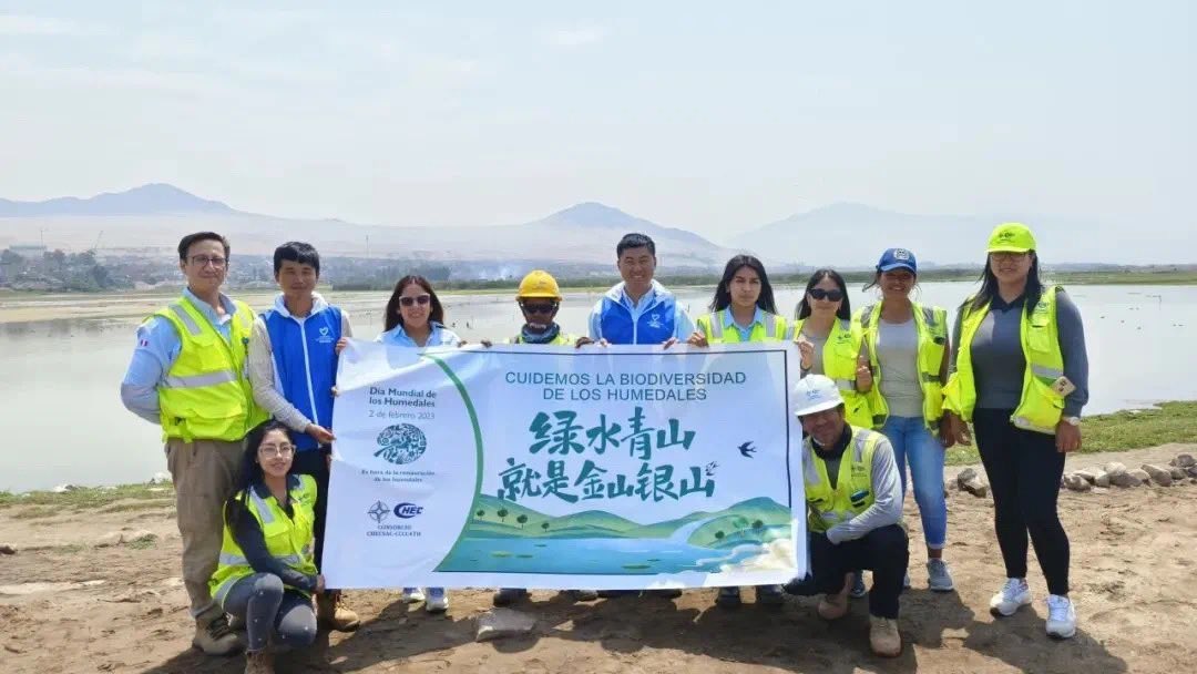 Shen Shiwei 沈诗伟 tweet media