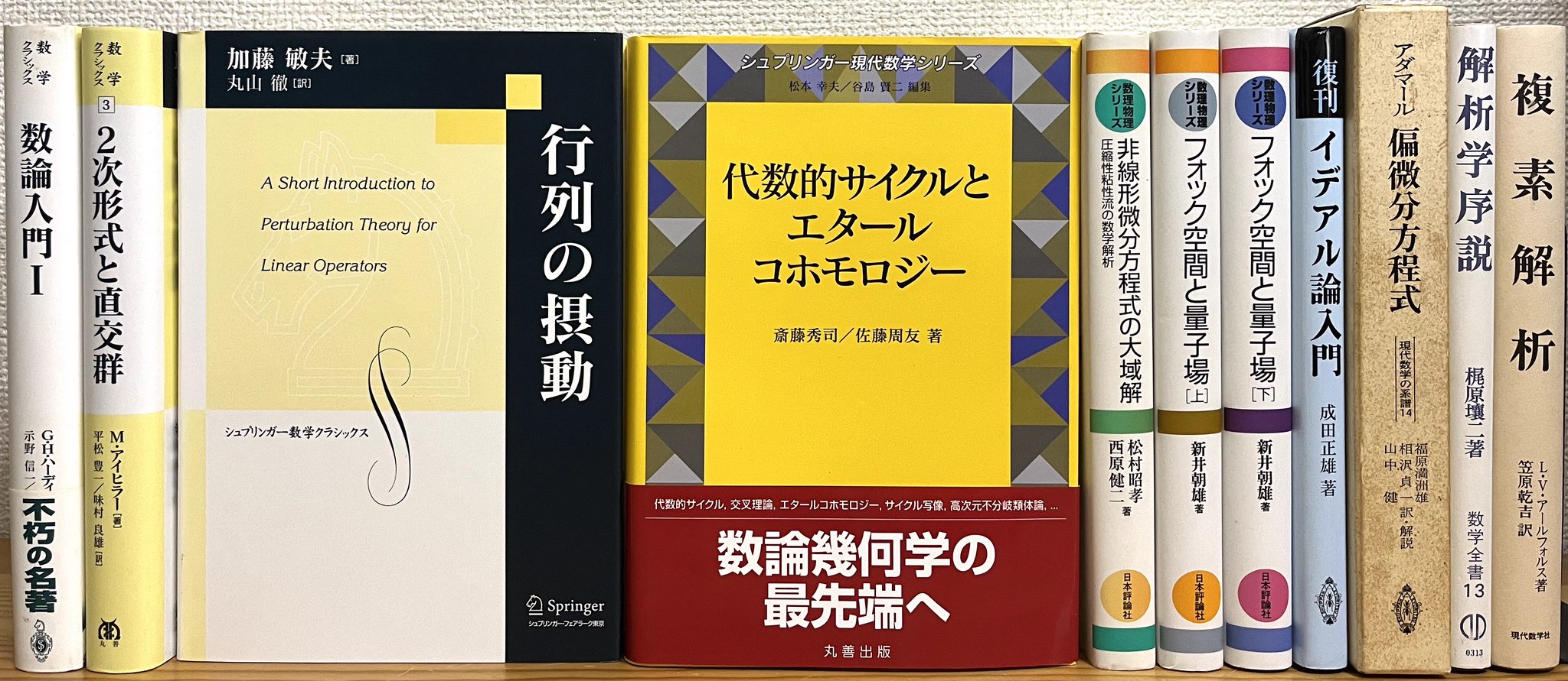 代数的サイクルとエタールコホモロジー 代数的サイクルとエタールコホモロジー (シュプリンガー現代数学