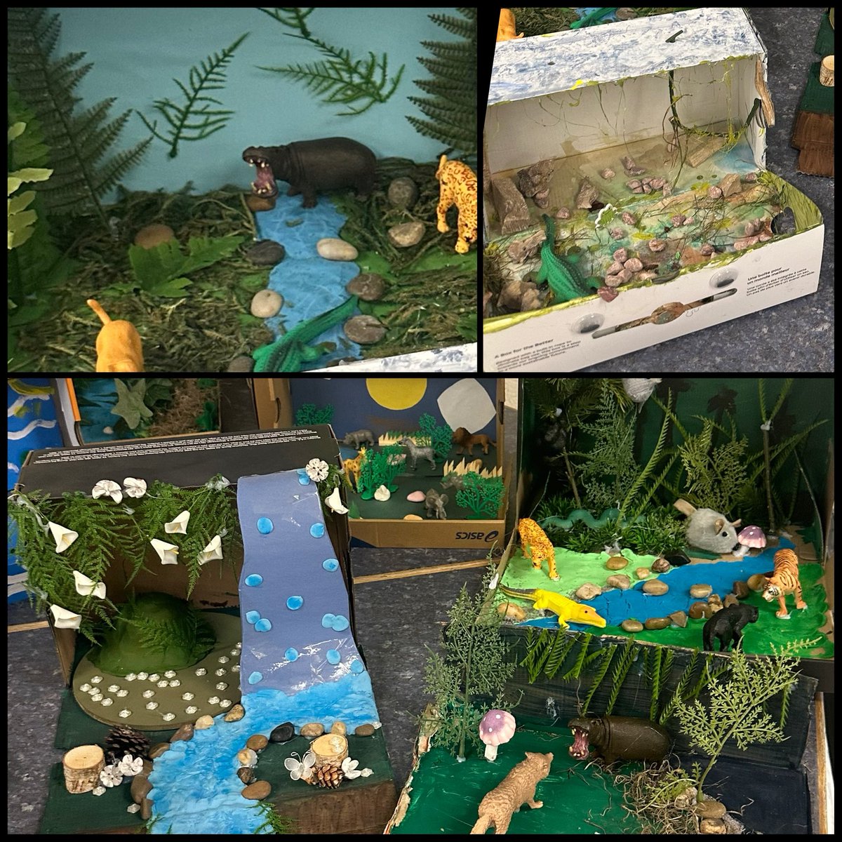 Grade 7 Scientists in Ms. Sottosanti’s class have researched, studied and creatively displayed their 3D Ecosystems. A job well done! <a href="/TheresaMcnicol1/">Theresa Mcnicol</a> <a href="/paonesl/">Lou Paonessa</a> <a href="/YCDSB/">York Catholic District School Board</a>