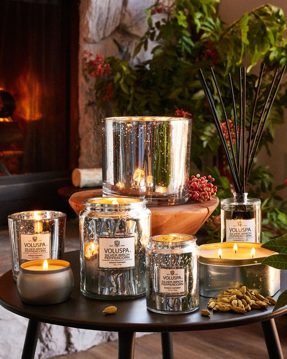 Transition from fall to festive with Silver Birch Peppercorn's warm &amp; spiced notes, beaming through gilded silver glass. bit.ly/4hCsfRd

#Voluspa #CozyHome #SparkJoy #FallFaves