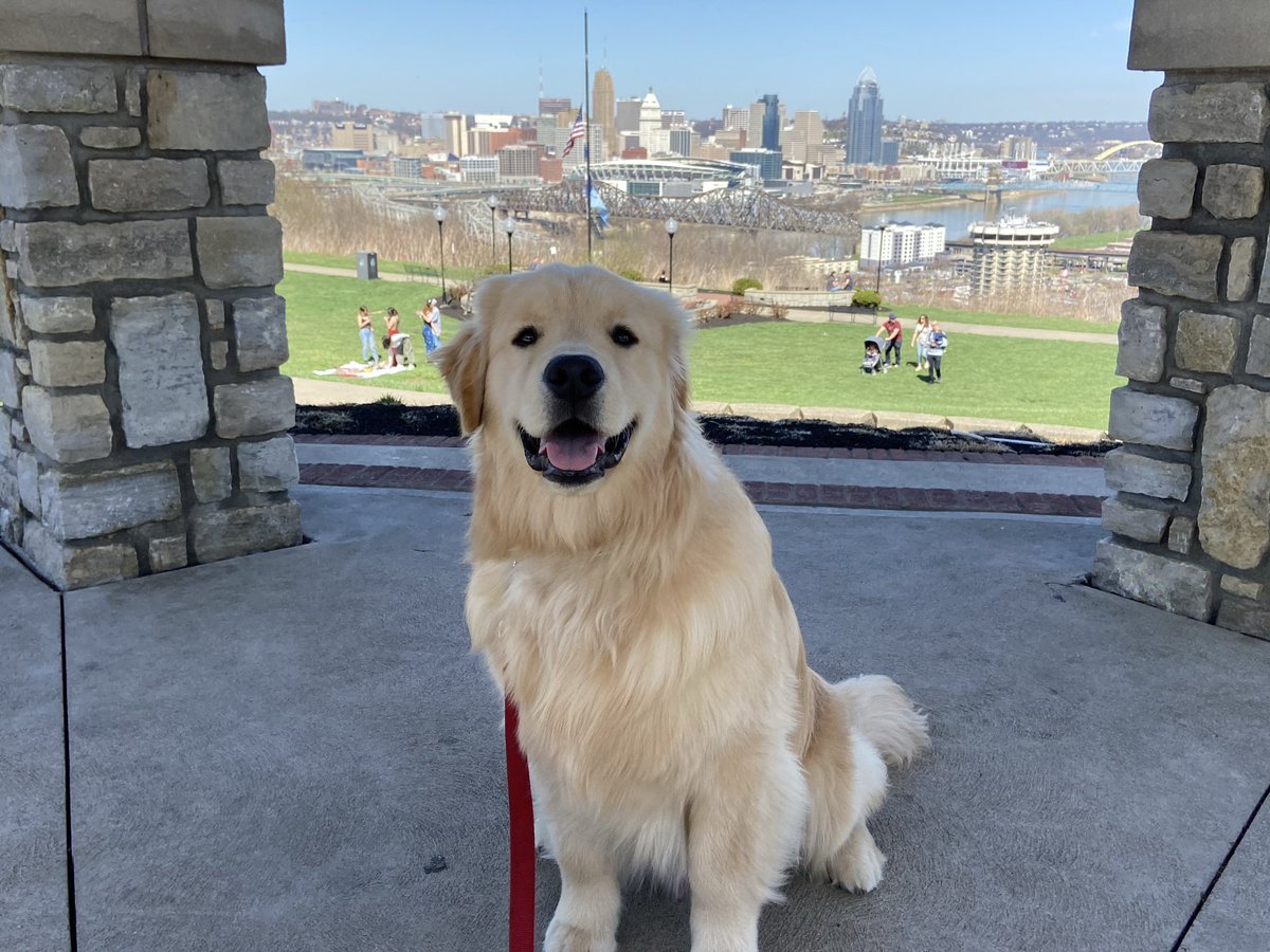 ucjrh89's tweet photo. @KirkHerbstreit Archie might be from the same breeder in TN. https://t.co/hjjYP5Vefg